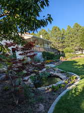 View the backyard toward the house from the arbor!