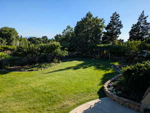 Amazing back yard photo looking toward the arbor.