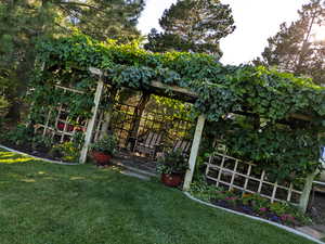 A perfect spot to sit and relax after a long day a grape vine covered arbor.