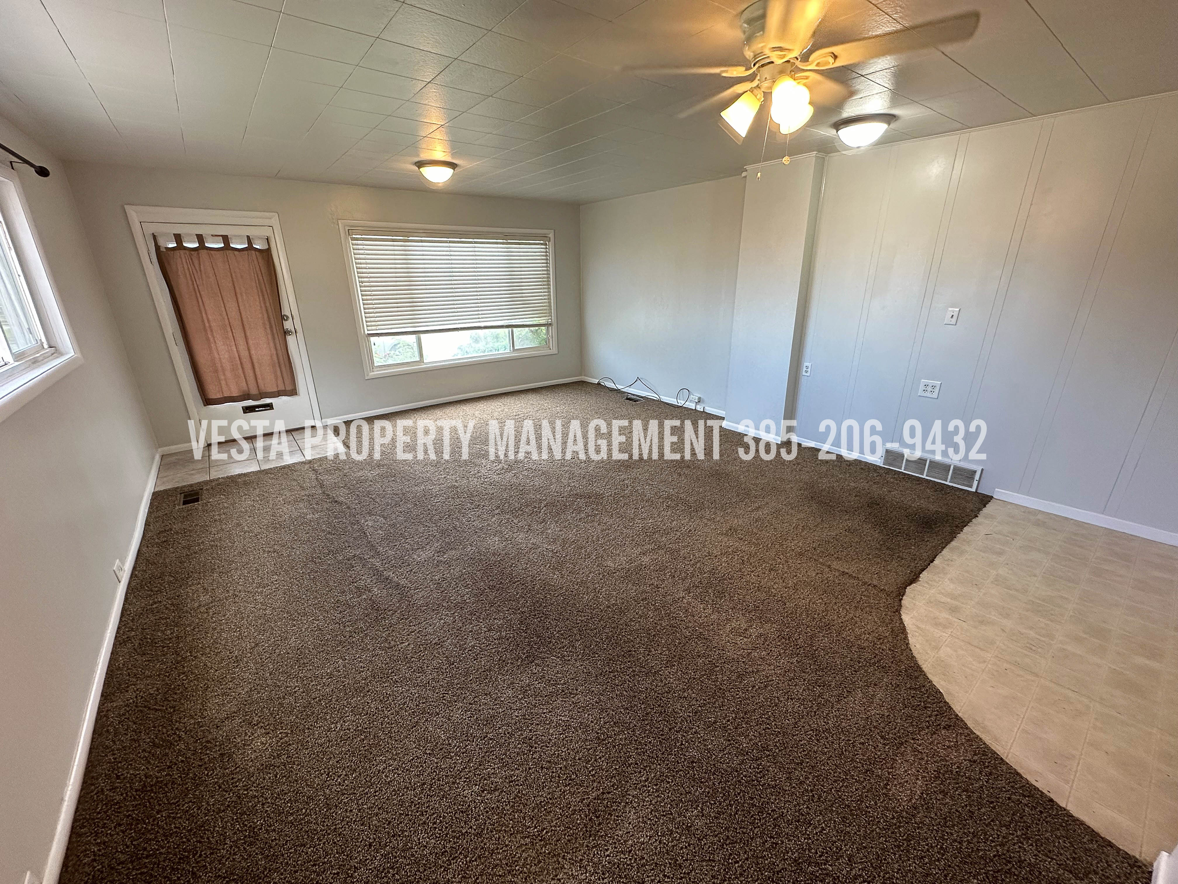 Unfurnished room featuring carpet flooring, a ceiling fan, and a decorative wall