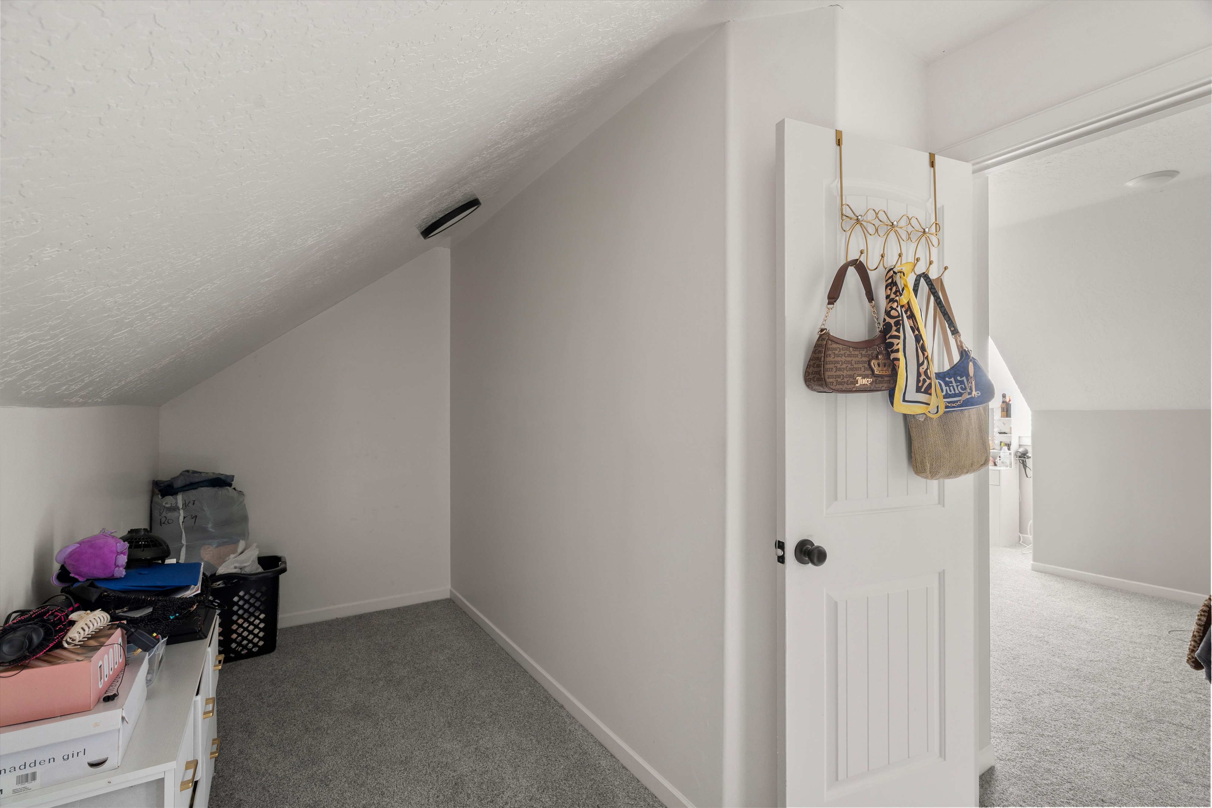 Bonus room featuring light colored carpet