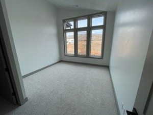Unfurnished room with light carpet and lofted ceiling