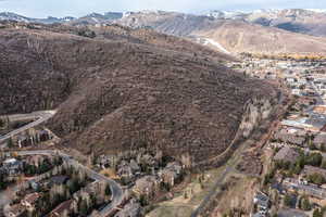 Aerial perspective of suburban area with a mountain backdrop