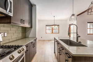 Kitchen with dark wood finish cabinetry, stainless steel appliances, light wood-style floors, and modern cabinets