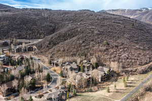 Aerial perspective of suburban area with a mountain backdrop