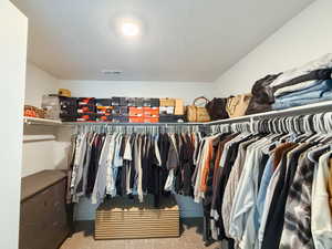 Walk in closet featuring light carpet