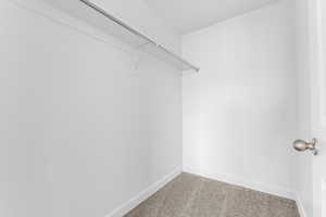 Walk in closet with carpet