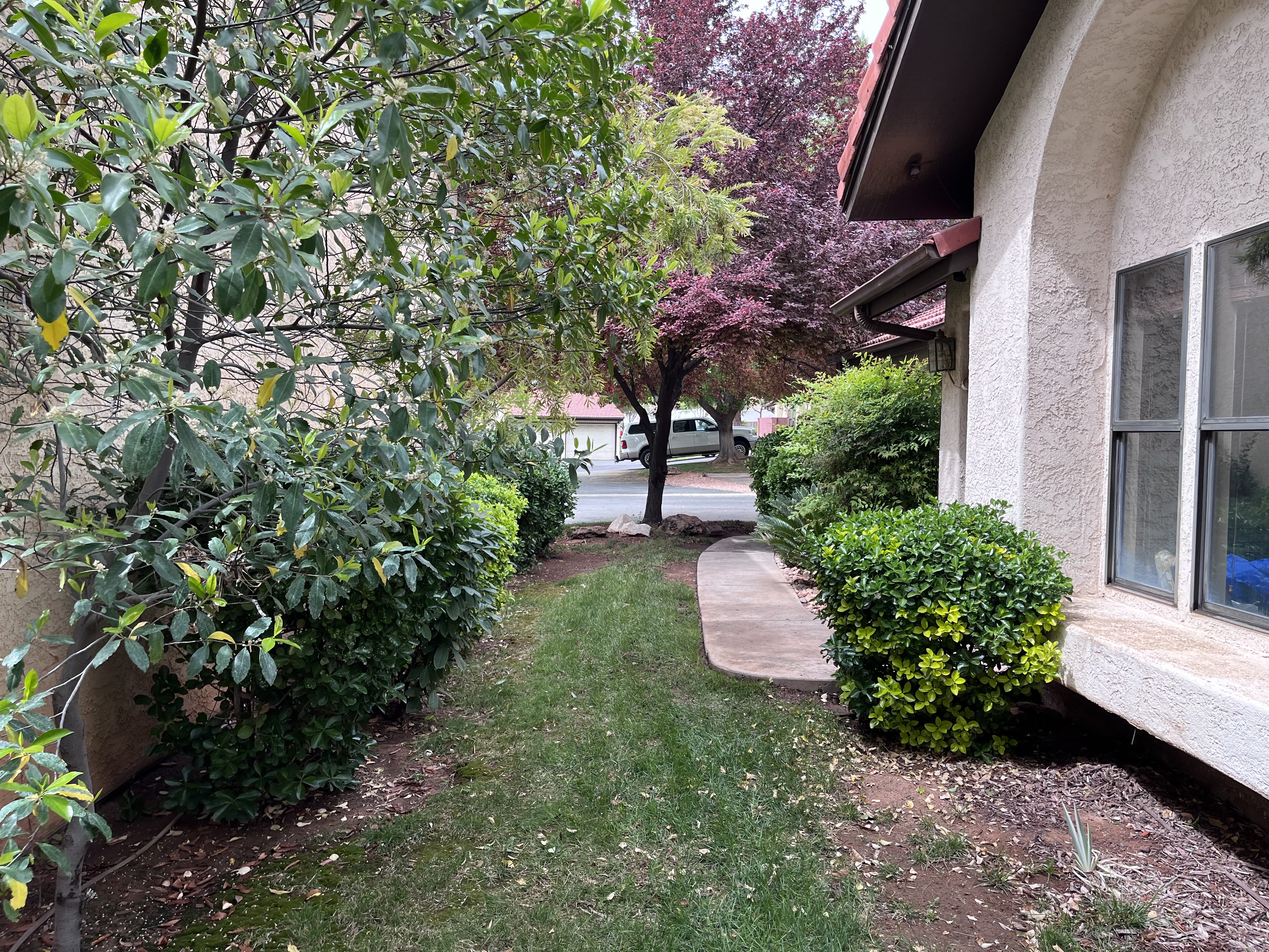 View of green lawn