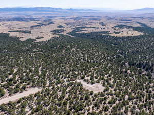 Aerial view of mountains