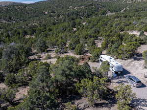Drone / aerial view of a forest and mountains