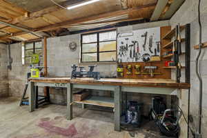 Below grade area with a workshop area