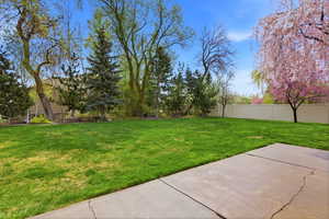 View of yard with a patio