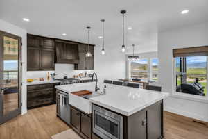 Spacious kitchen featuring an oversized island with a farmhouse sink, white quartz countertops, dark wood cabinetry, and stainless steel appliances