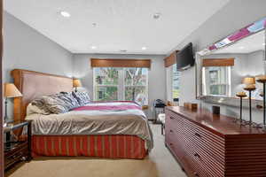 Bedroom featuring light colored carpet, multiple windows, recessed lighting, and a textured ceiling