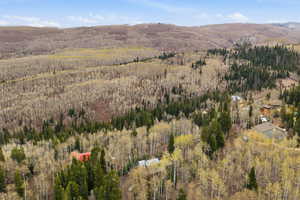 View of mountain backdrop featuring a heavily wooded area