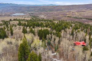 Aerial view of a water and mountain view
