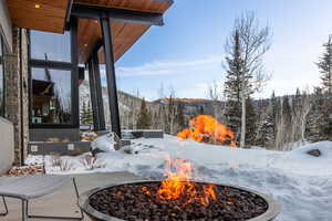 Exterior view of a fire pit and a heavily wooded area