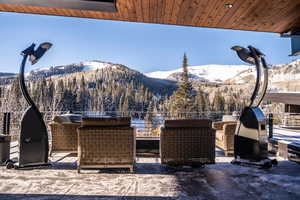 Mountain view with a forest