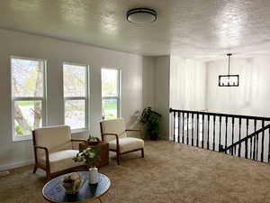 Large living room with fresh paint, new carpet, and new windows