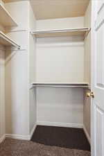 Walk in closet with dark carpet