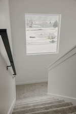 Staircase with carpet and baseboards