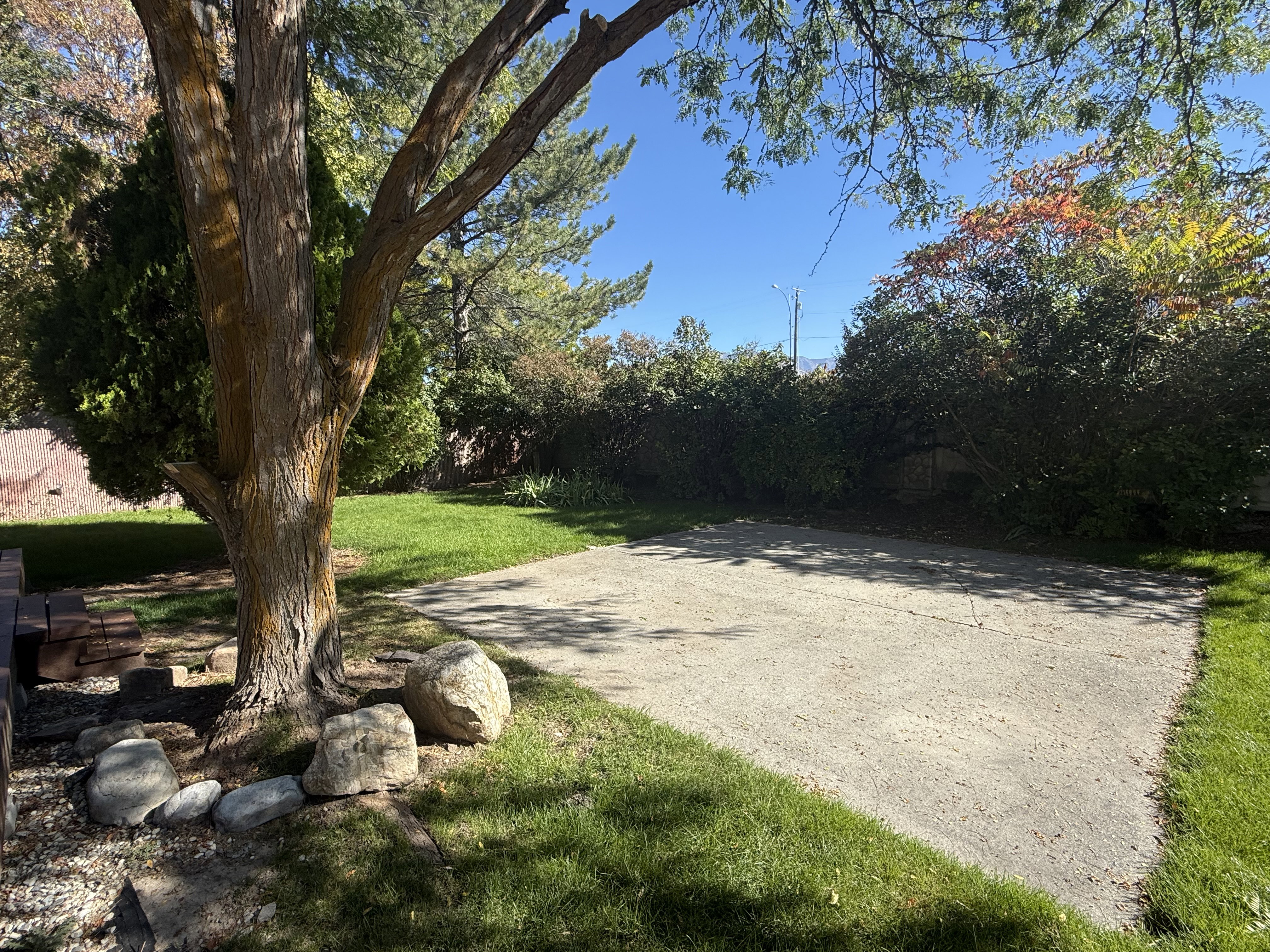 Fenced Back Yard