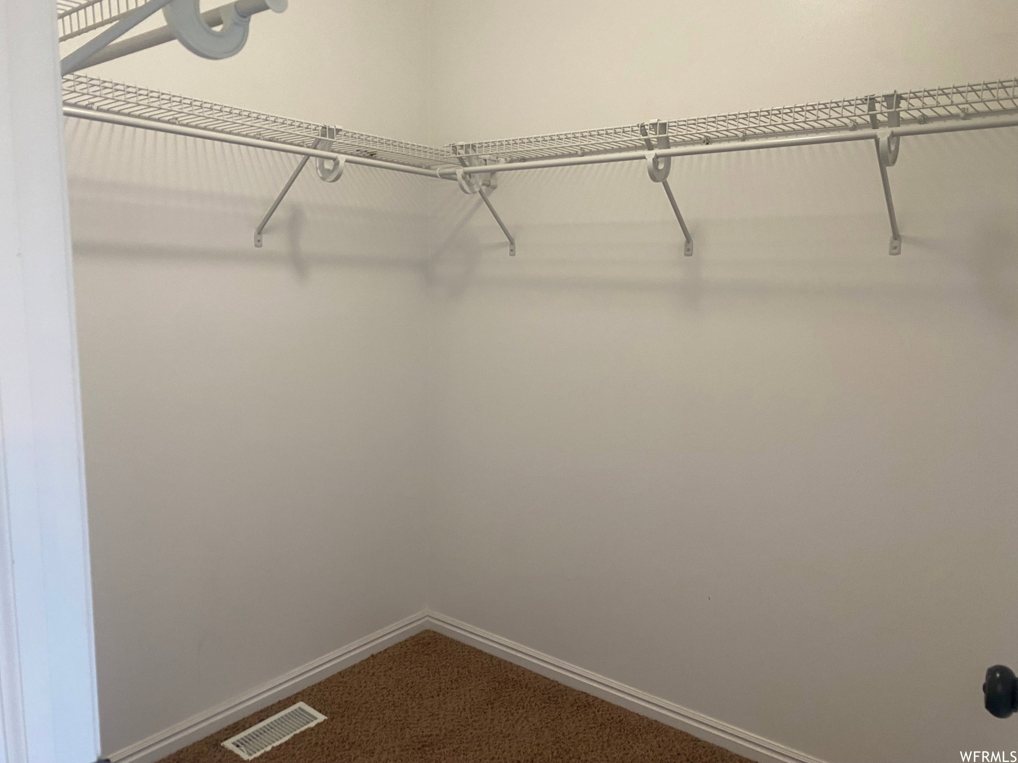 Walk in closet with carpet flooring