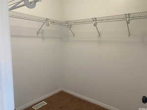 Walk in closet with carpet flooring
