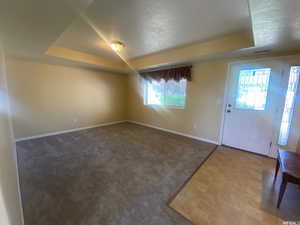 Foyer entrance featuring a tray ceiling and dark flooring