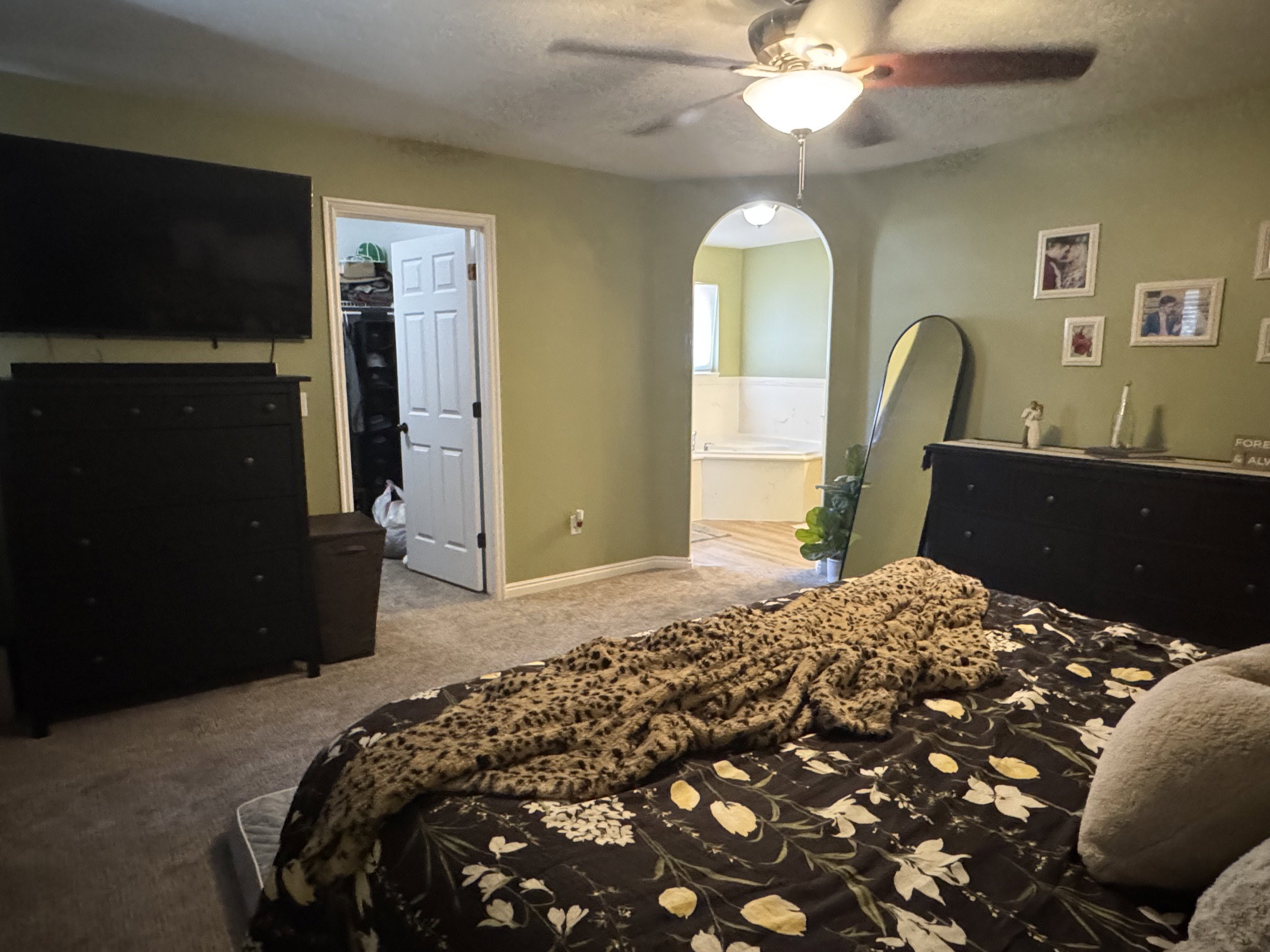 Carpeted bedroom with green walls and a ceiling fan
