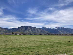 View from  the back sliding doors