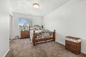 Carpeted bedroom featuring baseboards and a textured ceiling