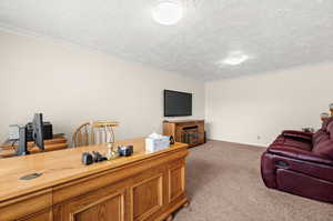 Office with ornamental molding, light colored carpet, and a textured ceiling