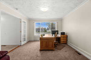 Office with carpet floors, ornamental molding, and a textured ceiling