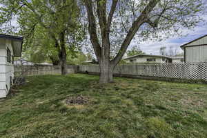View of fenced backyard