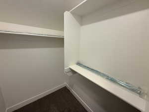 Walk in closet featuring dark carpet