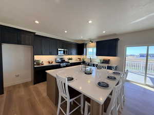 Kitchen with a breakfast bar area, a kitchen island, stainless steel appliances, light wood-style floors, and recessed lighting