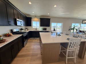 Kitchen featuring stainless steel appliances, light wood finished floors, recessed lighting, a center island, and plenty of natural light