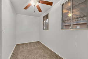Carpeted empty room featuring ceiling fan and ornamental molding