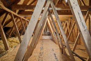 Storage space off of Bonus Room