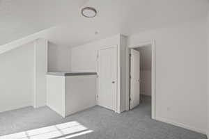 Additional living space featuring light colored carpet and vaulted ceiling