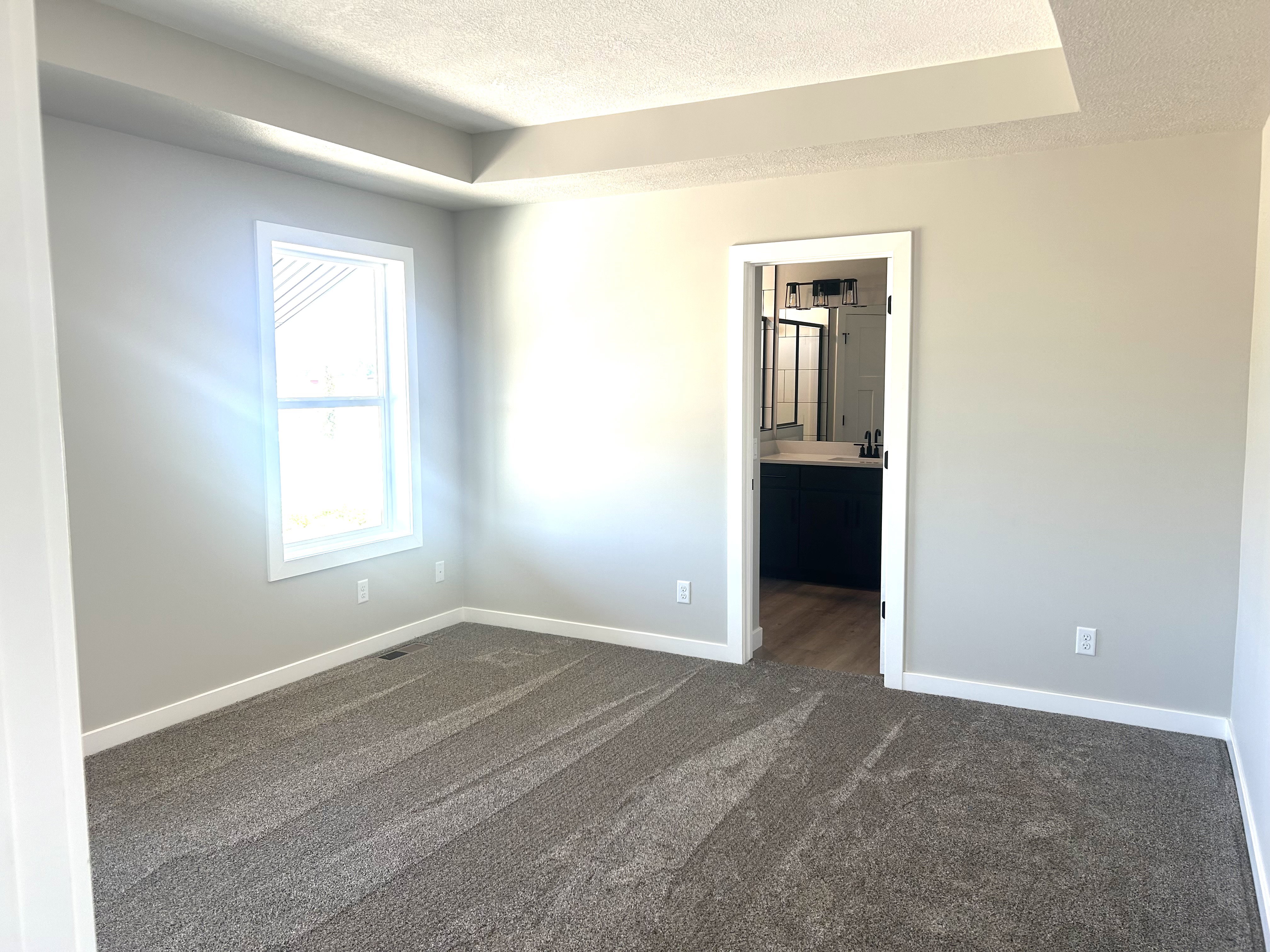 Spacious room featuring tray ceiling, light gray wall tones, window with white trim, gray textured carpeting, and direct access to an attached bath with wood-finish flooring and a dark vanity