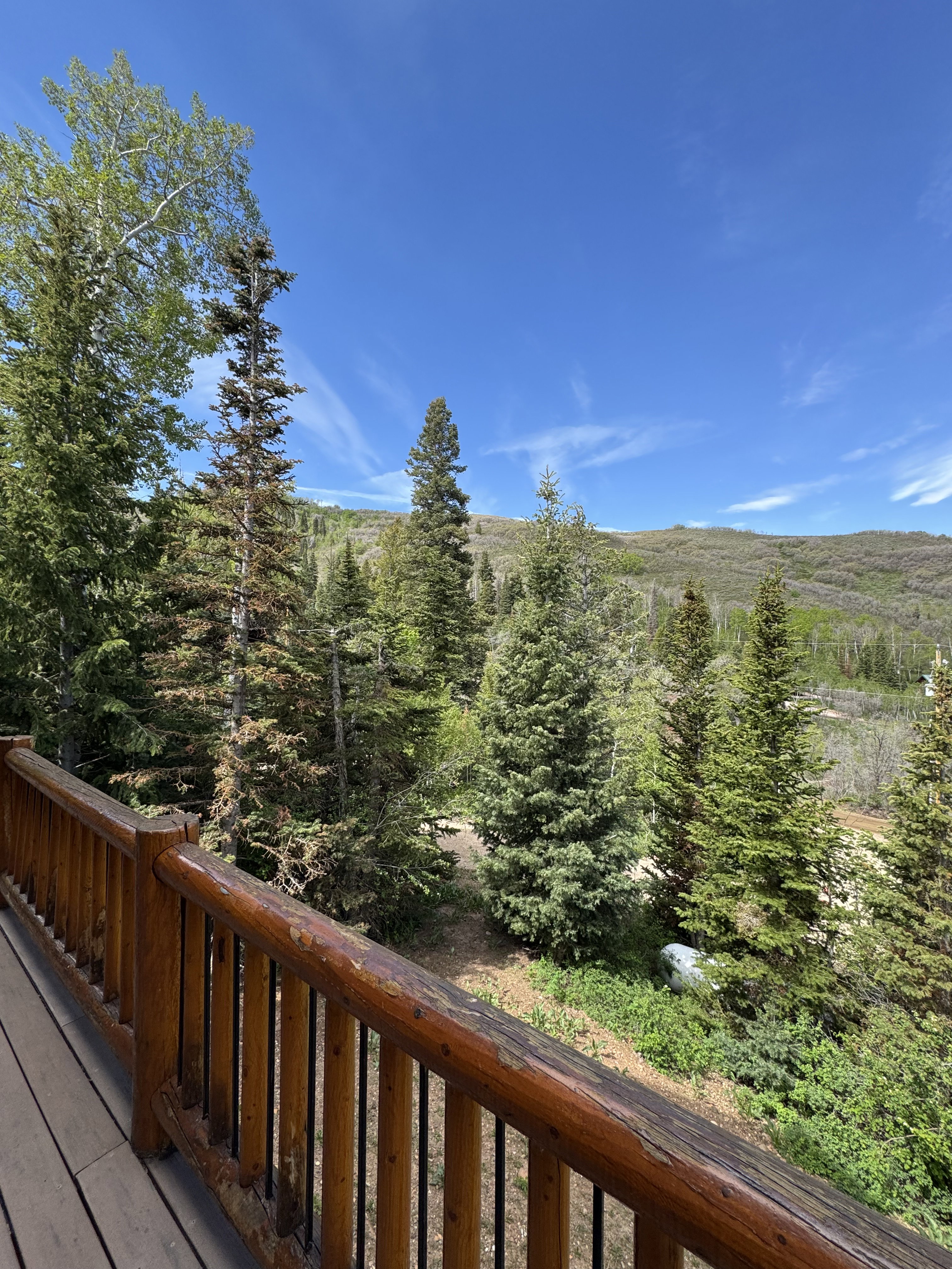 Deck with natural wood railing and wood-finish flooring