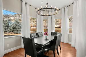 Dining space featuring wood finished floors, a mountain view, plenty of natural light, and hanging lights