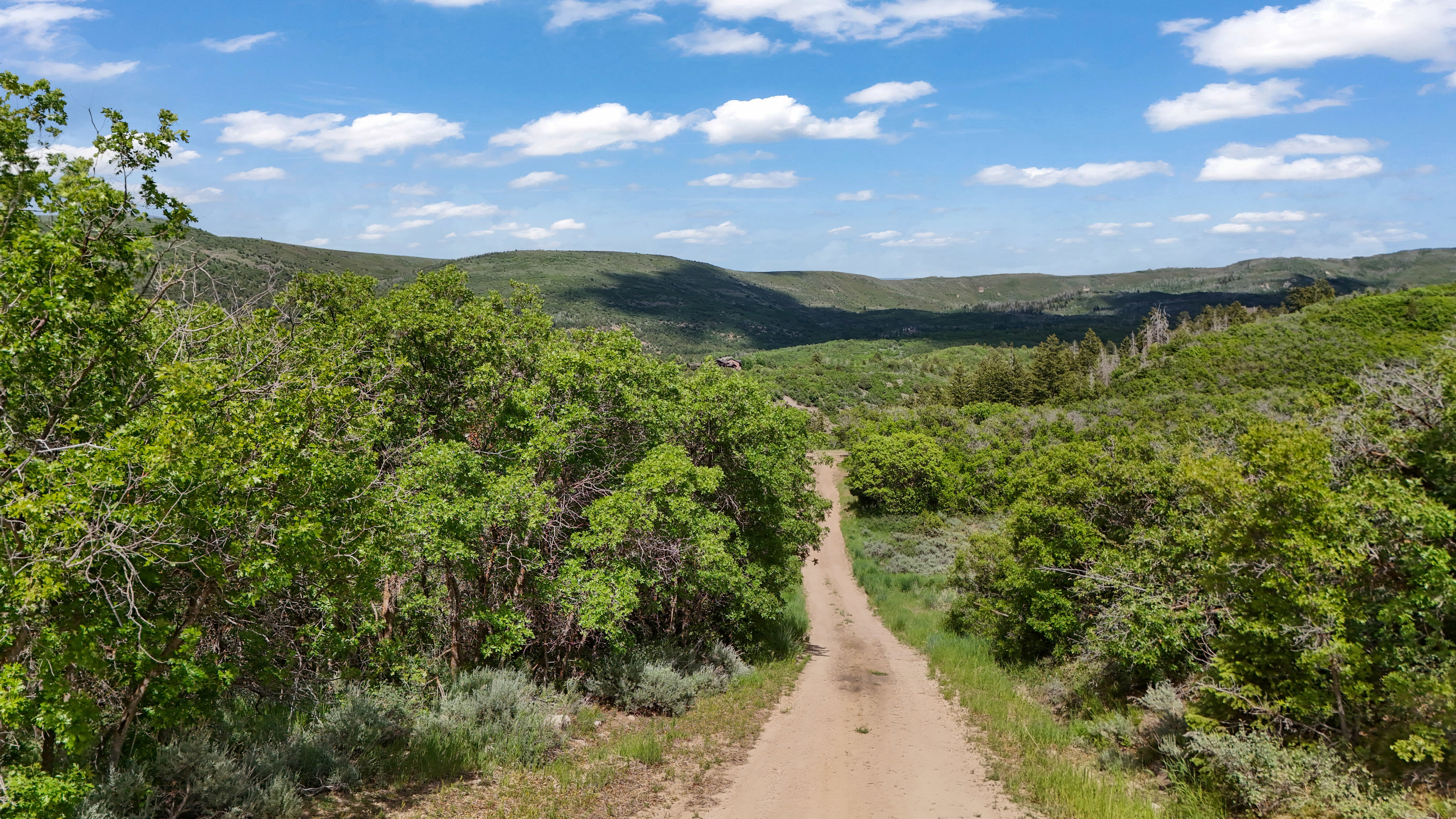 Mountain view with a heavily wooded area