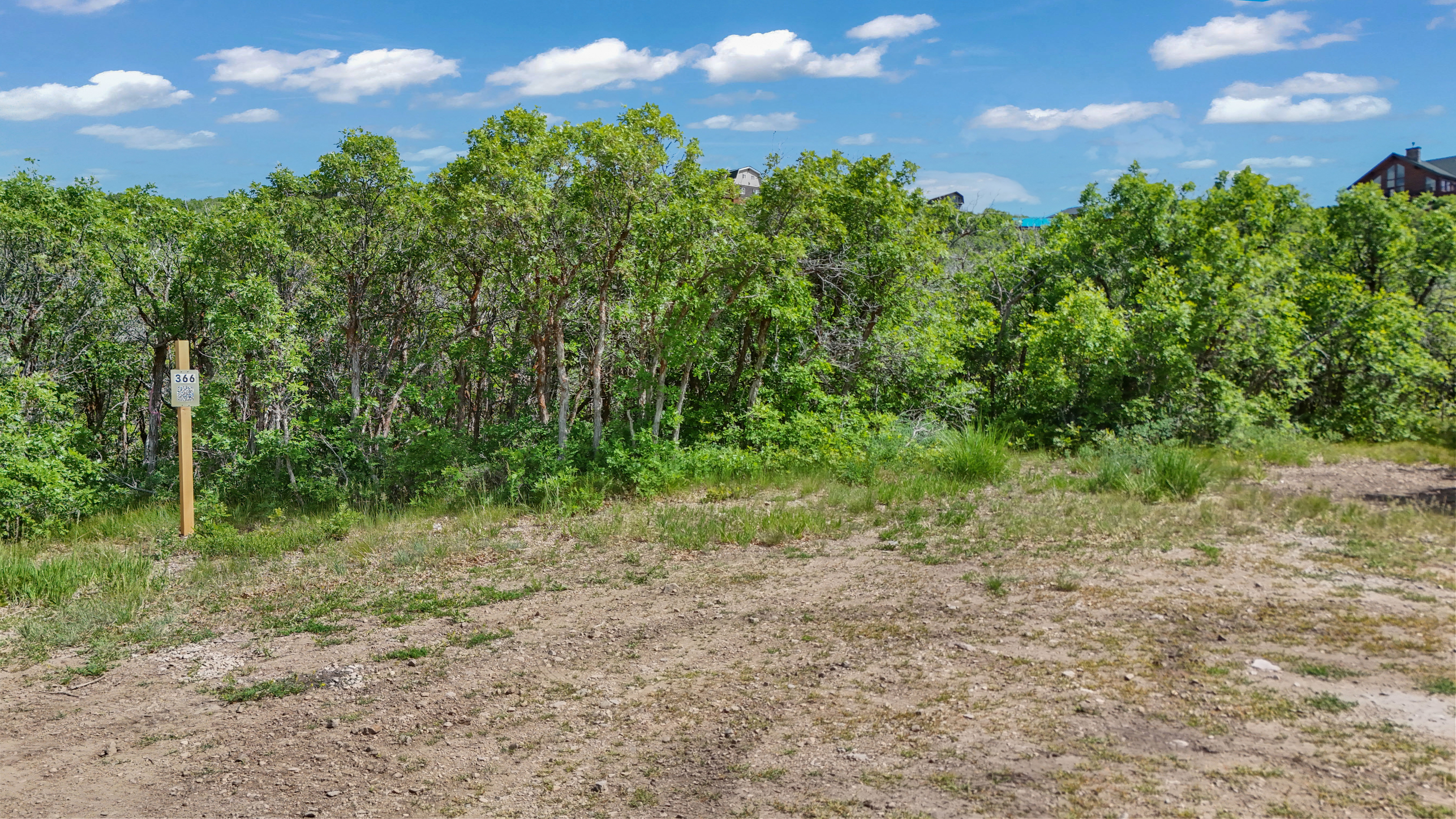 View of local wilderness