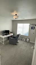 Office area featuring a textured ceiling and carpet floors