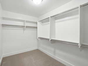 Walk in closet with carpet floors