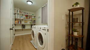 Laundry area with light wood-style floors and separate washer and dryer