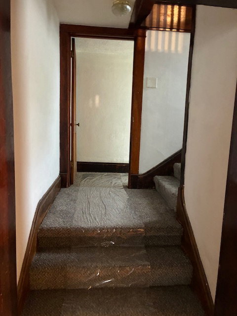 Staircase featuring baseboards and carpet floors
